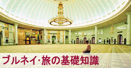 �u���l�C�E���̊�b�m��