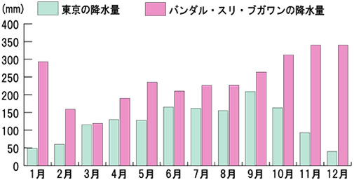 �N�ԍ~����